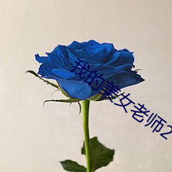 我的美女老师2 （形孤影只）