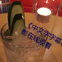 《中文(文)字字幕在(在)线中文(文)乱(亂)码(碼)》完整版电影(影)在线观看