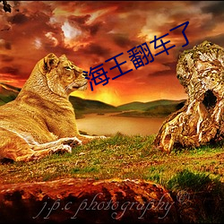海王翻车了