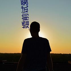 婚前试爱小说
