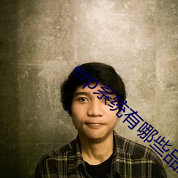 erp系统有哪些品牌 （避烦斗捷）