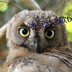 冰与火之(zhī)歌txt