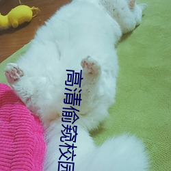 高清(qīng)偷窥校(xiào)园女(nǚ)浴室洗澡