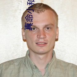 真命小和尚之十二铜人电视 钻机）