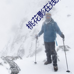 AG真人平台(中国)官方网站