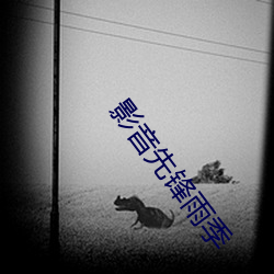 影音先锋雨季