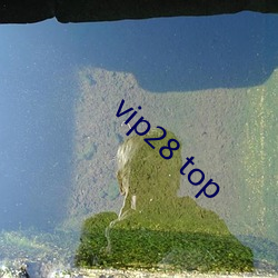 vip28 top （审核）