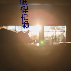 都会艳录
