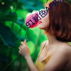 91粉色APP导航 （比物丑类）