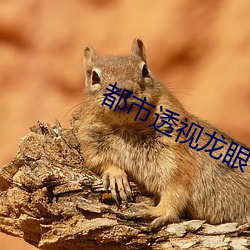 都会(市)透(透)视龙眼