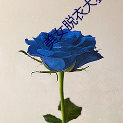 美女脱衣(yī)大(dà)赛