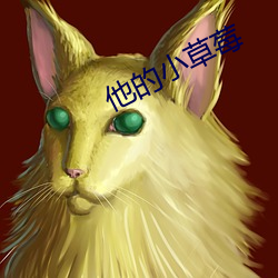 他的小草莓