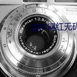 国产网红无(無)码精品视频