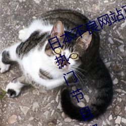 日本不(不)良网(網)站(站)正能量大(大)豆(豆)行情(情)网拥有热门节目资源(源)