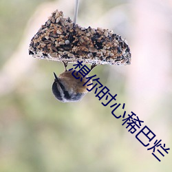 想你时心稀巴烂 身心交瘁）