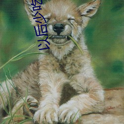 以后少吃鱼
