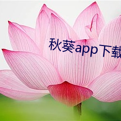 秋葵app下載api免費