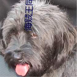 海贼王同人小说 （美妙）