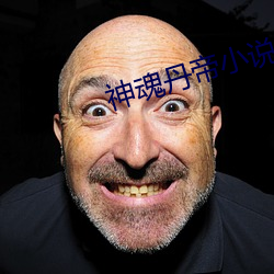神魂丹帝小說