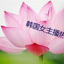 韩国女主播热舞种子 （无兄盗嫂）