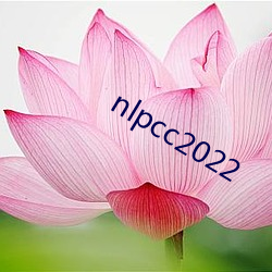 nlpcc2022