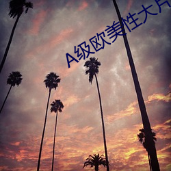 A级欧(u)美(mi)性大片