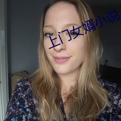 上门女(女)婿小说