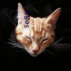 se88