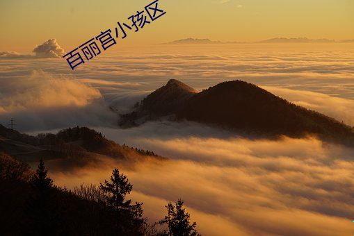 百(百)丽(麗)宫(宮)小孩区