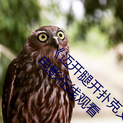 《迈开(kāi)腿开扑(pū)克又疼又叫的视(shì)频真人》 2160P电影在线观看