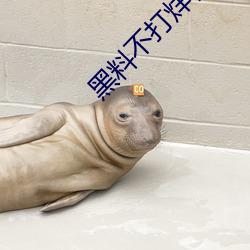 黑(黑)料(料)不打(打)烊(烊)官方下载