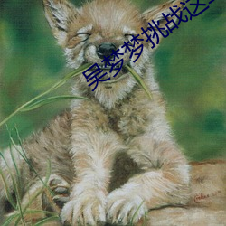 吴梦梦挑战这辈子遇到最大最粗