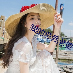 我(我)的(的)总裁老婆
