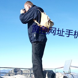 黄色网址手机版