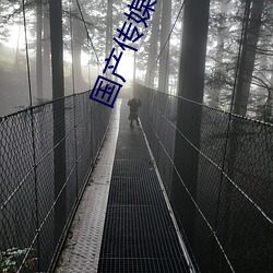 国产传媒京东(dōng)传媒
