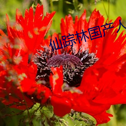 918博天堂·(中国)手机版客户端