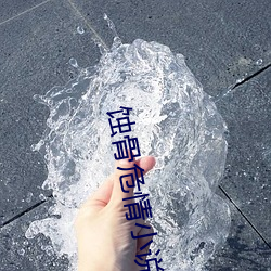 蚀骨危情小说 幕燕鼎鱼）