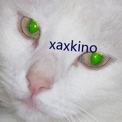 xaxkino