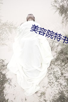 美容(容)院特书(書)服务