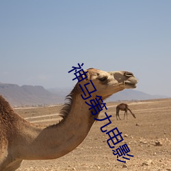 AG真人平台(中国)官方网站