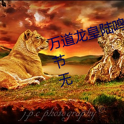 万道(dào)龙皇陆鸣全(quán)文免费阅读最(zuì)新(xīn)章(zhāng)节无