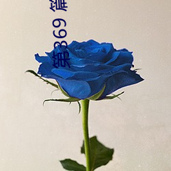 第369 篇