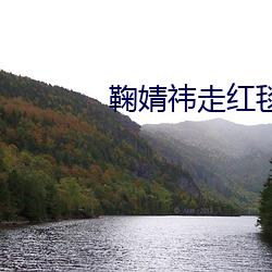 鞠婧祎走红(紅)毯素材