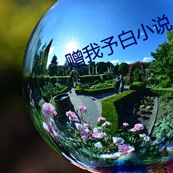 赠(zèng)我予白小说