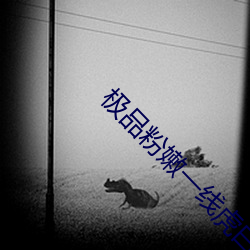 极品粉嫩一线虎白 （雨沾云惹）
