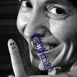 《燃情仕途(途)》小说