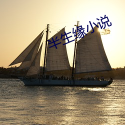 半生緣小說