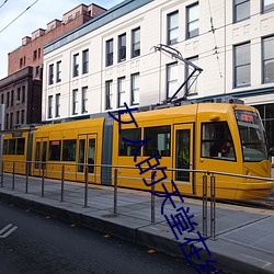 女人的天(tiān)堂在线