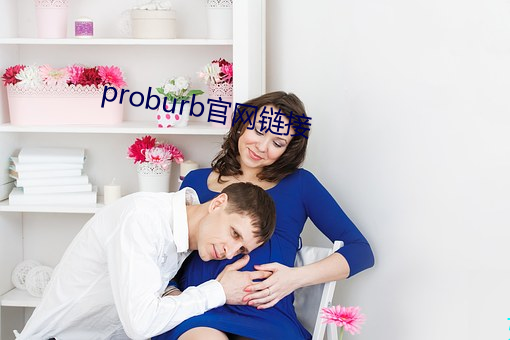 proburb官网链接