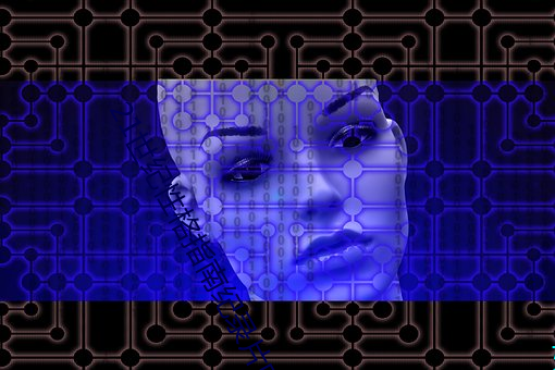 21世纪性格指南纪录片中英